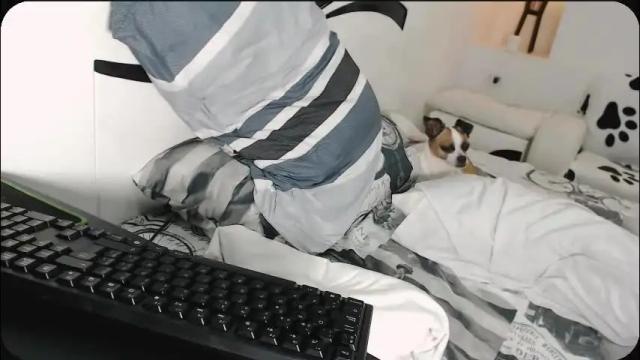 Image 12 of yinaross Stream on Chaturbate on 1 month ago