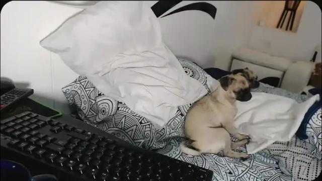 Image 3 of yinaross Stream on Chaturbate on 1 month ago