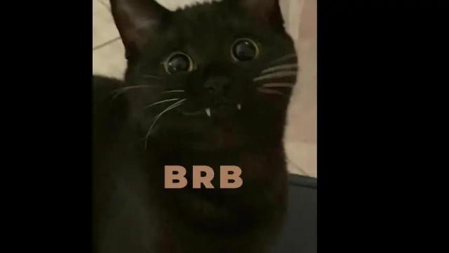 Thumbnail 2, your_best_foxxx's Stream at Chaturbate, 21 days ago