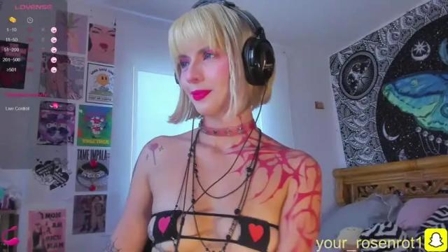 Image 4 of your_rosenrot Stream on Chaturbate on 13 months ago