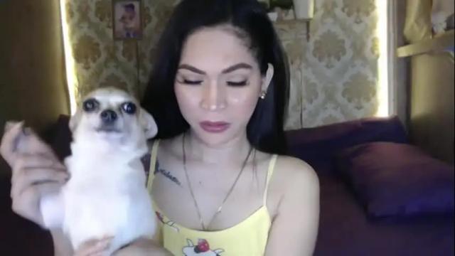 Thumbnail 1, yourtransglams's Stream at Chaturbate, 13 days ago