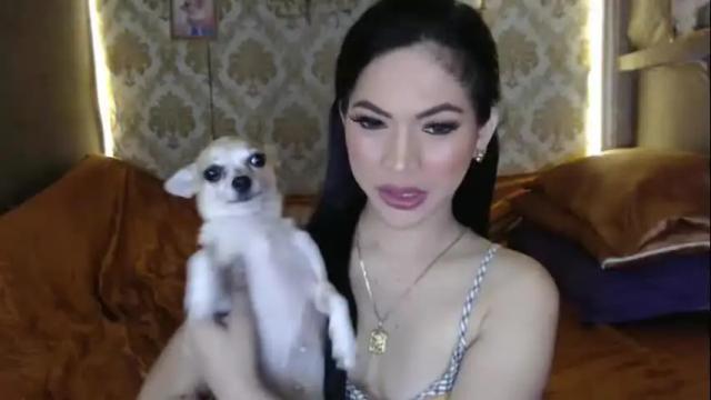 Image 7 of yourtransglams Stream on Chaturbate on 6 days ago