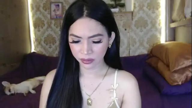 Image 11 of yourtransglams Stream on Chaturbate on 22 days ago
