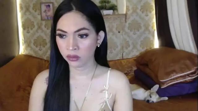 Image 3 of yourtransglams Stream on Chaturbate on 4 days ago