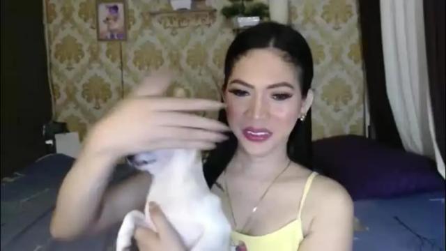 Image 10 of yourtransglams Stream on Chaturbate on 2 months ago