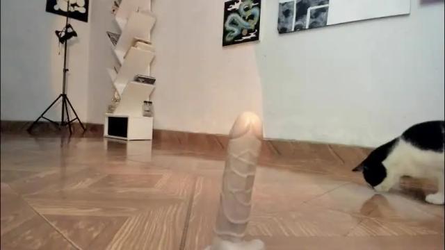 Thumbnail 1, yury_sun's Stream at Chaturbate, 1 month ago