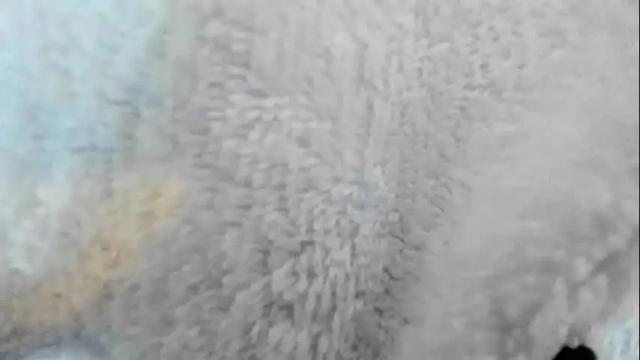 Image 4 of zara_lopez Stream on Chaturbate on 1 month ago