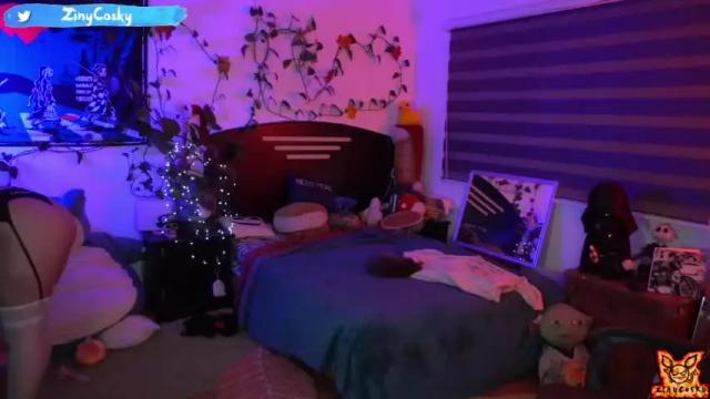 Image 10 of ziny_cosky Stream on Chaturbate on 15 months ago