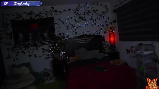 Image 6 of ziny_cosky Stream on Chaturbate on 1 month ago