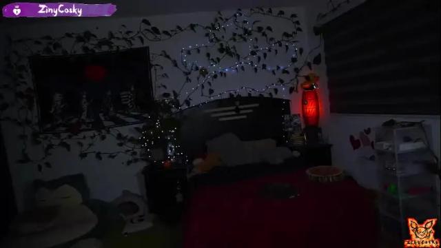 Image 7 of ziny_cosky Stream on Chaturbate on 1 month ago