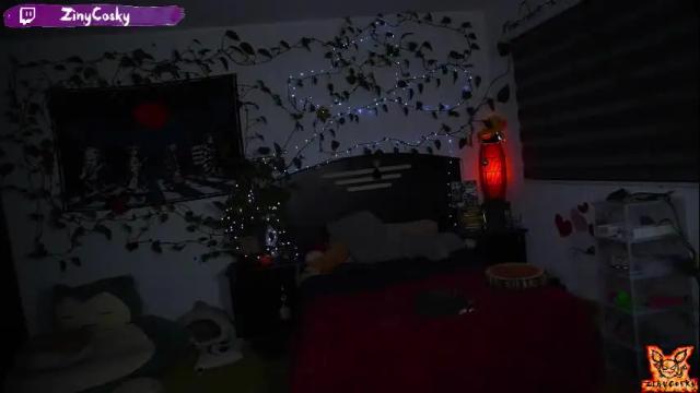 Image 8 of ziny_cosky Stream on Chaturbate on 1 month ago