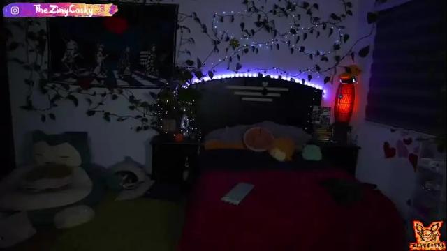 Image 4 of ziny_cosky Stream on Chaturbate on 1 month ago