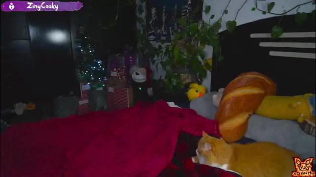 Image 3 of ziny_cosky Stream on Chaturbate on 1 month ago