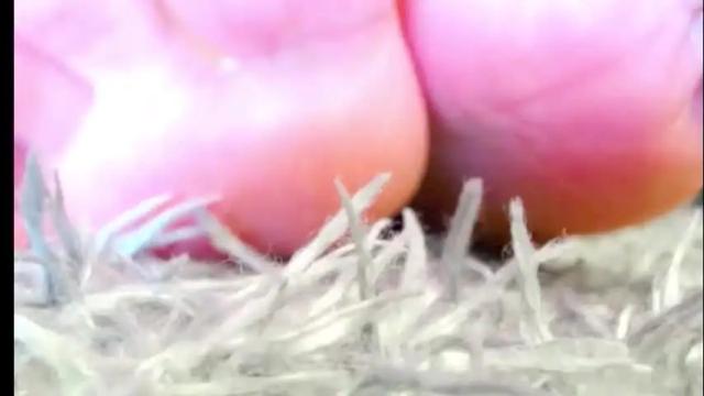 Thumbnail 3, zoe_jones2's Stream at Chaturbate, 2 months ago