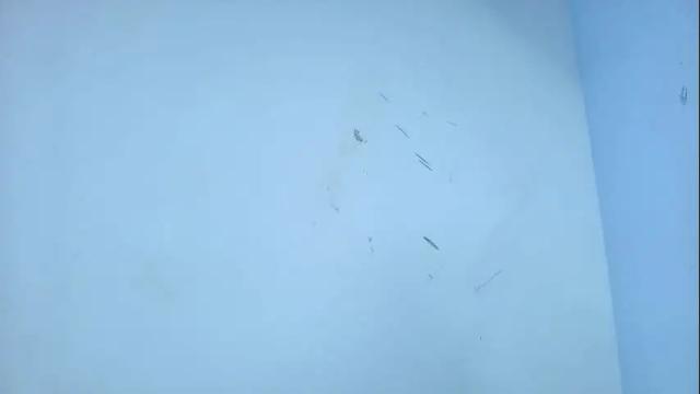 Image 4 of zoe_jonexs_ Stream on Chaturbate on 15 days ago