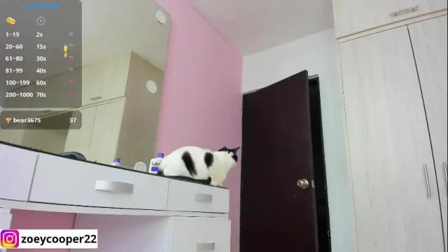 Image 6 of zoey_cooper Stream on Chaturbate on 2 months ago
