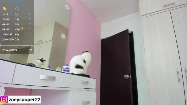 Image 7 of zoey_cooper Stream on Chaturbate on 2 months ago