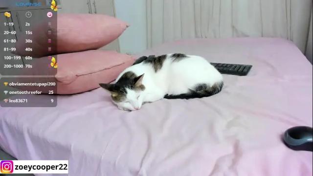 Image 12 of zoey_cooper Stream on Chaturbate on 2 months ago