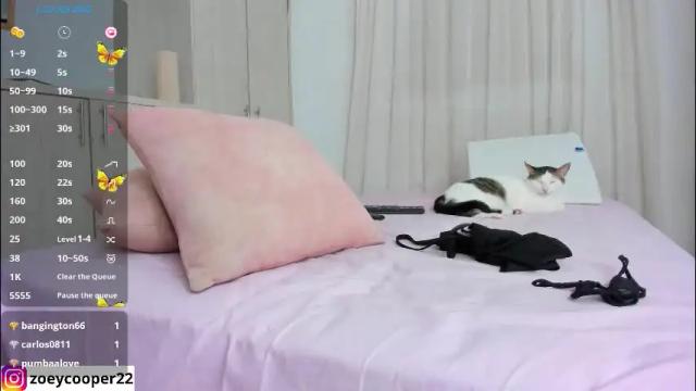 Image 11 of zoey_cooper Stream on Chaturbate on 1 month ago