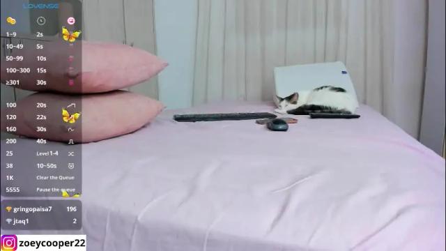 Image 2 of zoey_cooper Stream on Chaturbate on 1 month ago
