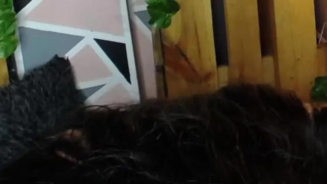 Image 6 of zoey_thin Stream on Chaturbate on 22 months ago