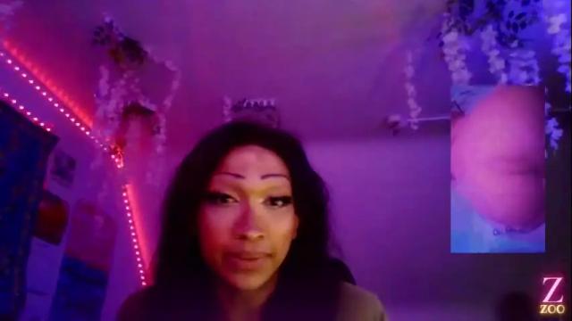Image 3 of zya_zoo Stream on Chaturbate on 1 month ago
